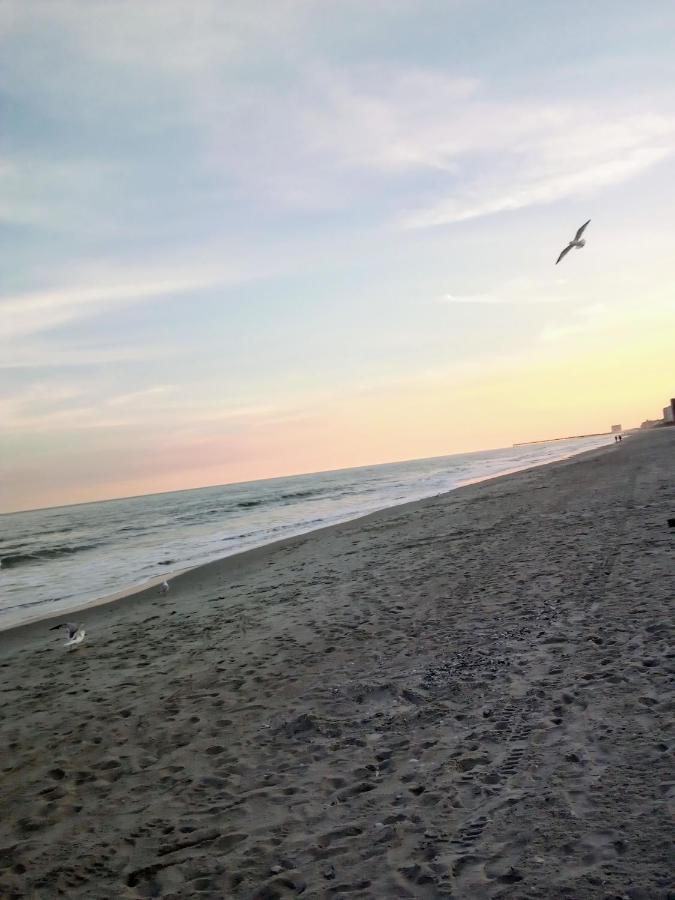 Lee'S Myrtle Beach Condo Exterior foto