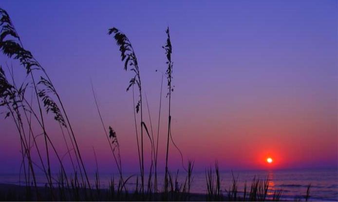 Lee'S Myrtle Beach Condo Exterior foto